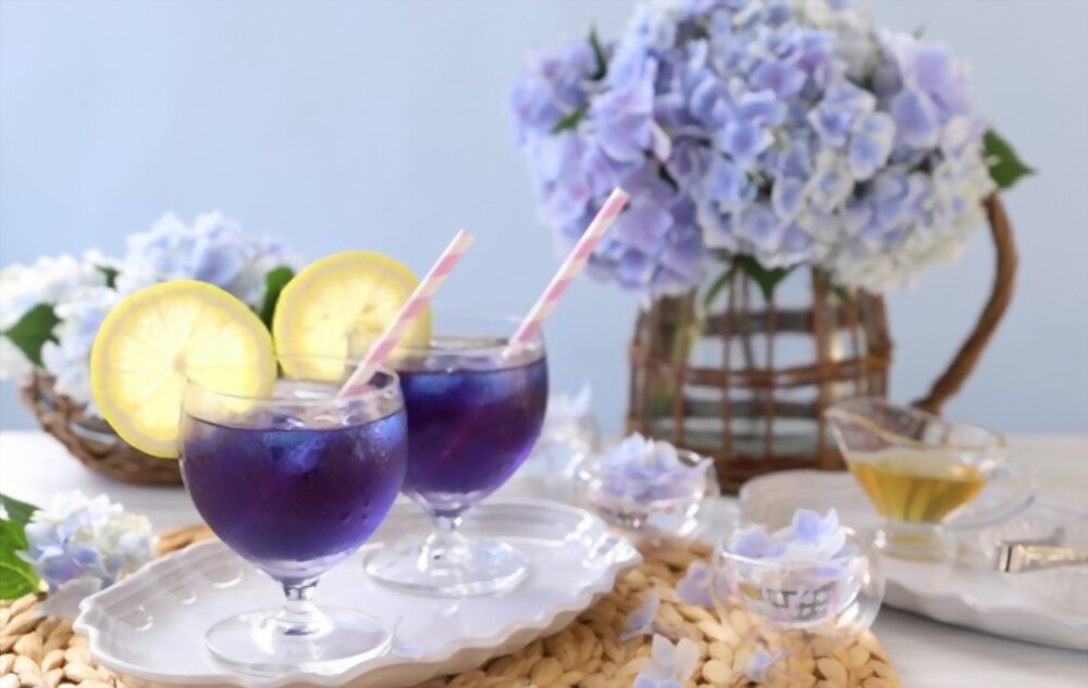 Butterfly blue pea tea drinks