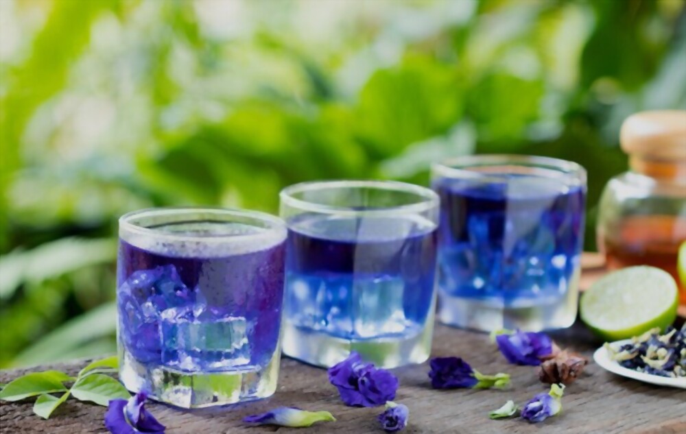 Blue tea welcome drink